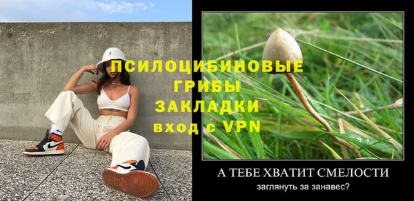 гашик Алексин