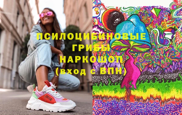 гашик Алексин
