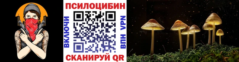 это как зайти  Дрезна  Галлюциногенные грибы ЛСД 